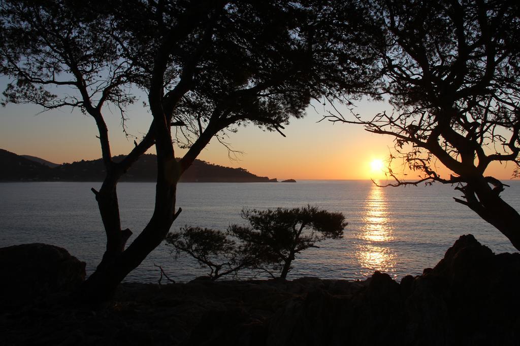 Auberge Du Cap Negre Le Lavandou Εξωτερικό φωτογραφία