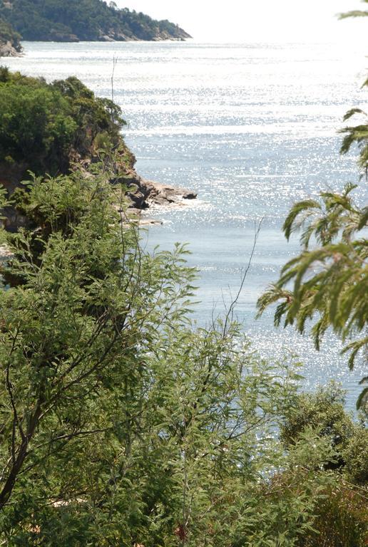 Auberge Du Cap Negre Le Lavandou Εξωτερικό φωτογραφία