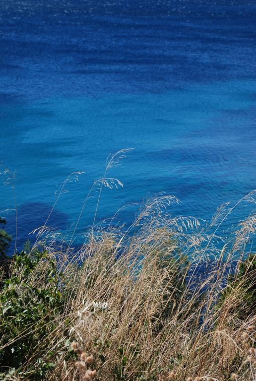 Auberge Du Cap Negre Le Lavandou Εξωτερικό φωτογραφία